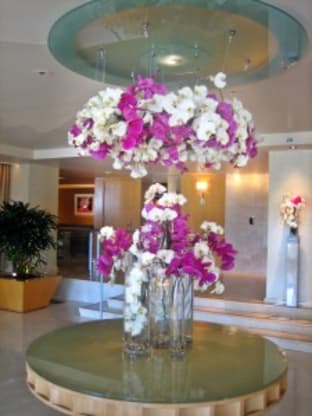 This Week's Display at the L'Ermitage Hotel