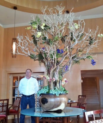 Eco-Tree at Livello Restaurant