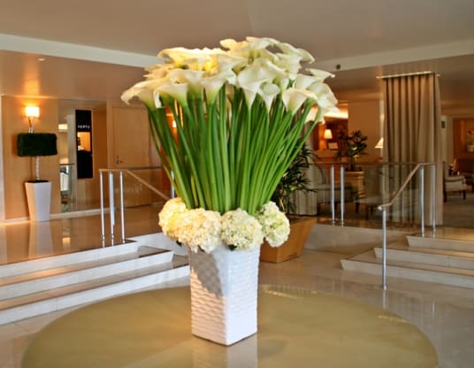 Sleek 'n Chic Hotel Decor