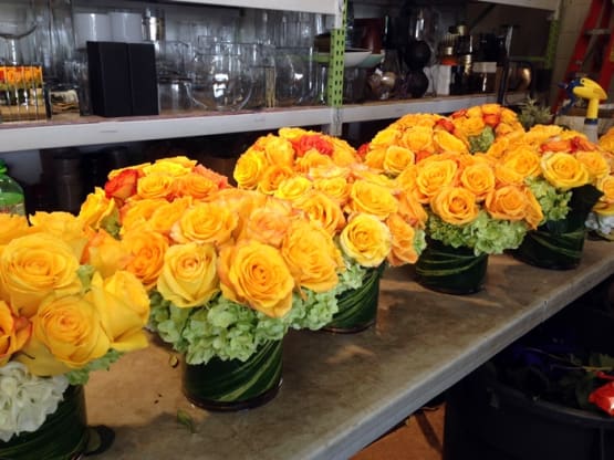 Monochromatic Arrangements