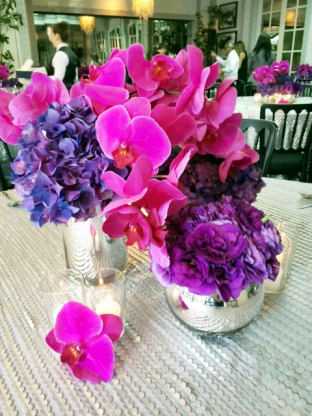 Gorgeous Purples and Pinks