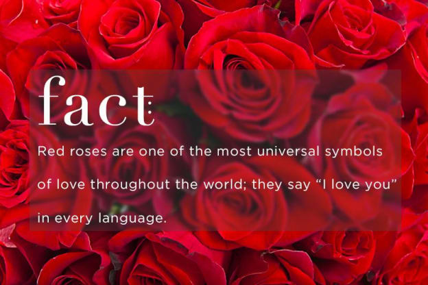 Best Way To Order Valentine S Day Flowers Blog Garden Of Roses With valentine's day just around the corner, we've rounded up all the best online shops so that you can purchase an easy, yet thoughtful, gift that is sure. order valentine s day flowers