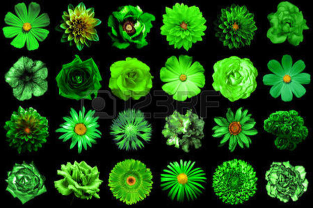 Seeing Green