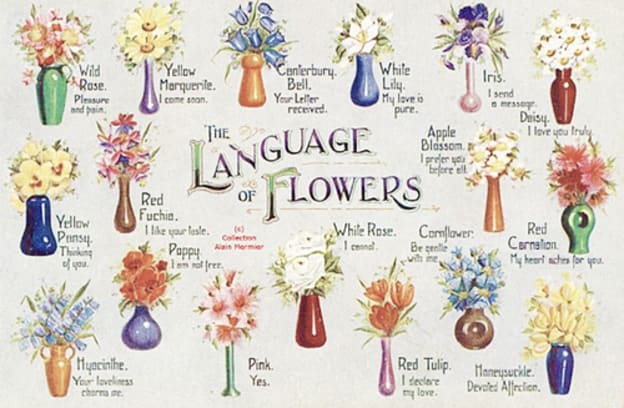 "The Language of Flowers" | Blog | BOULDER GARDENS FLORIST