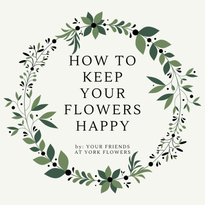 Quick And Easy Ways To Keep Your Bouquets Fresh Blog York Flowers Transform your handwriting and calligraphy into fully functional vector fonts with our web application. easy ways to keep your bouquets fresh