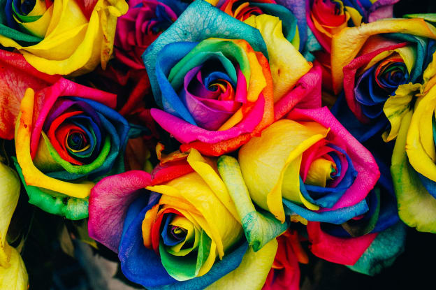 Rose Meanings