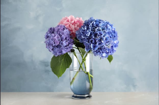 Which Types Of Arrangements Last The Longest 