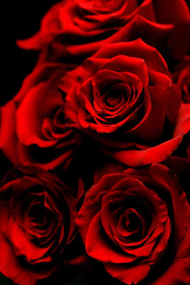 Anniversary Flowers by the Year