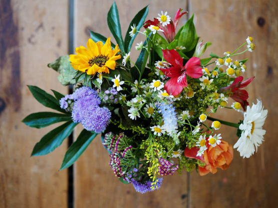 Flowers and Your Zodiac Sign