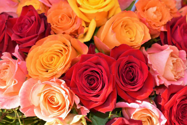 Flowers and Their Meaning: Gifting the Right Bouquet