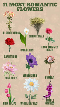 11 Most Romantic Flowers, Blog