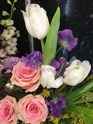 A Touch of Spring