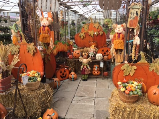 Fall Harvest Decorating Tips | Blog | The Rhoads Garden