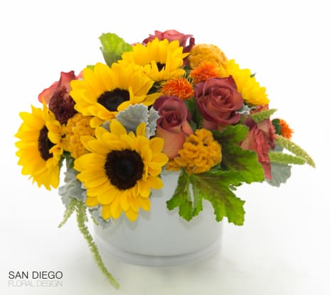 Product Highlight:"Autumn's Delight 