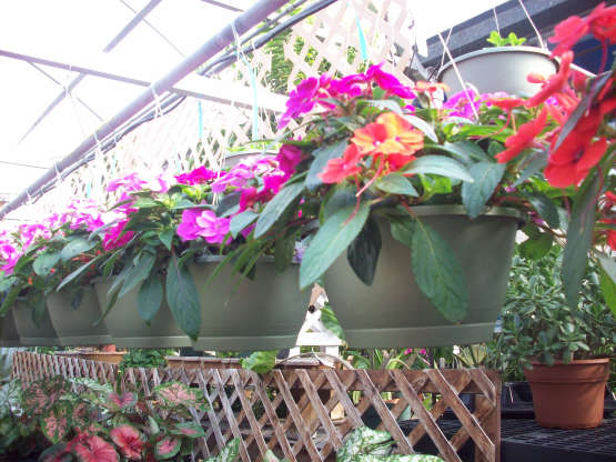 2025 Spring Happenings