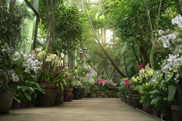 Six Central Florida Gardens to Immerse Yourself in