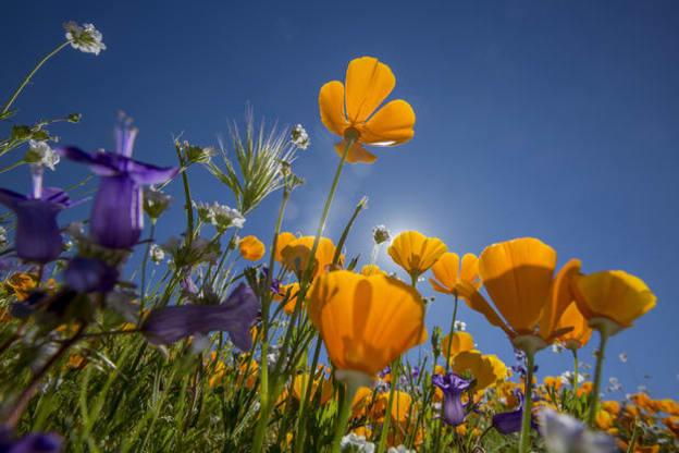 The warmth is here, Spring has arrived! 