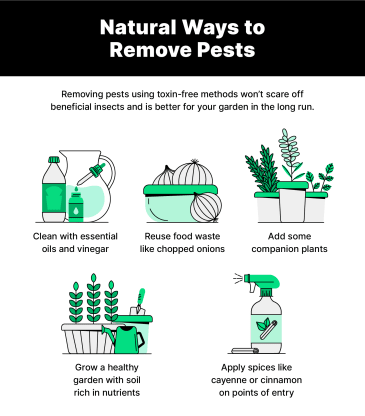 HOMEOWNERS GUIDE TO ECO-FRIENDLY PEST CONTROL