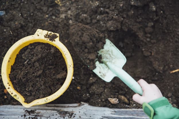 How to Compost at Home