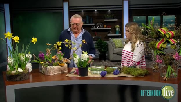 Afternoon Live March 2025 - Spring Bulbs