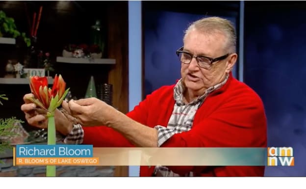 AM Northwest December 2024 - Quick Christmas Flowers