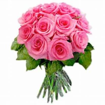 What Is The Meaning Of Colors In Roses Blog Blooms Petals Fresh Flowers Event Concepts