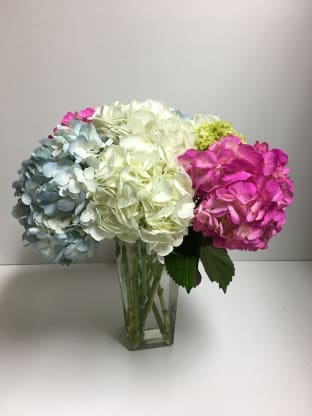 Floral ideas  for allergy sufferers 