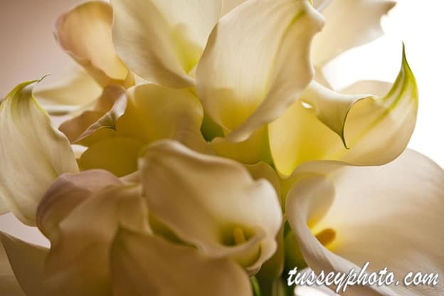 ​YOU ARE GLORIOUS!