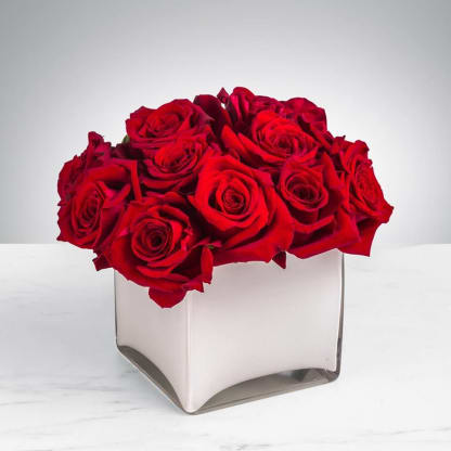 Caring For Roses Blog Ten Pennies Florist