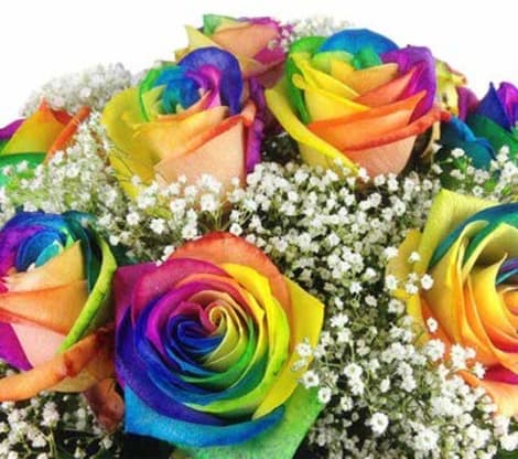 LOCAL FLORIST ROSE SALE!