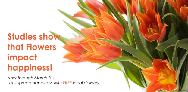 Free Delivery Until March 31!
