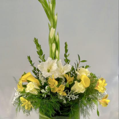 Tips on caring for your beautiful blooms