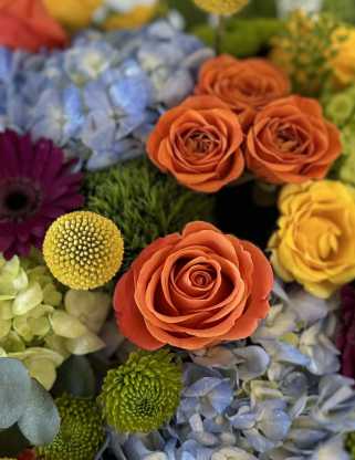 Be a grateful guest - Surprise your host. 