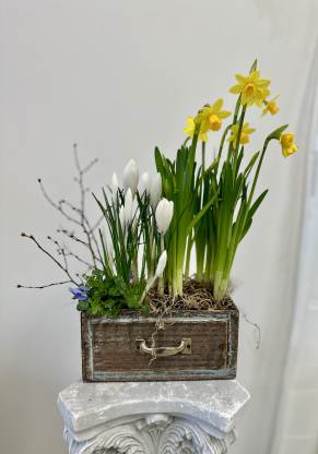 Spring Garden Indoors