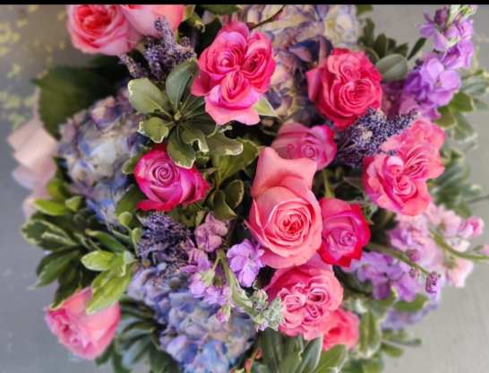 Bloom Bar at Willow Oak