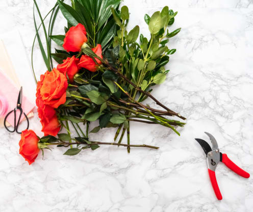 Fresh Cut Rose Care in 6 Easy Steps