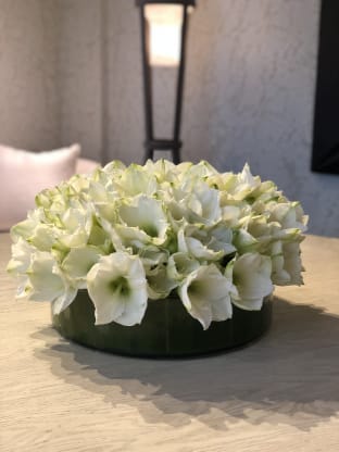 Flowers for Home