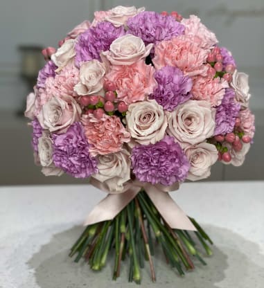 Carnation - An Undervalued Flower