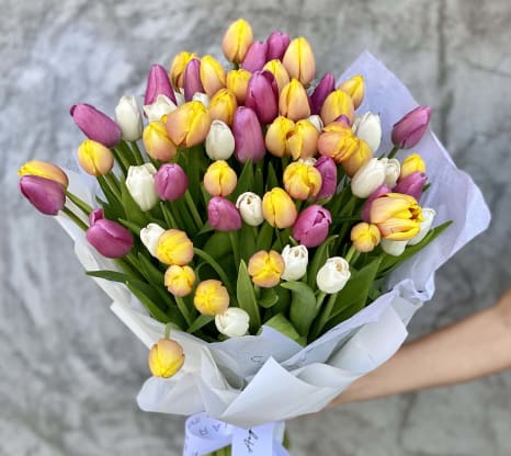 Tulip Mania - The First Flower Crisis in History