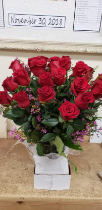 Red roses in vase 