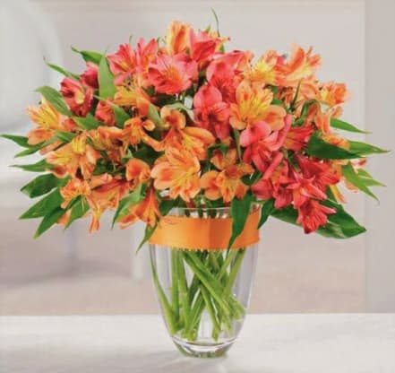 Fathers Day Flowers