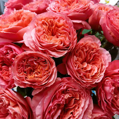 History behind Mother's Day.