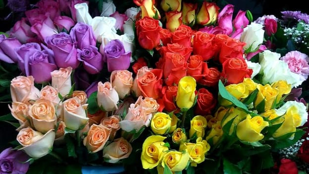 International Woman's Day and it's history.