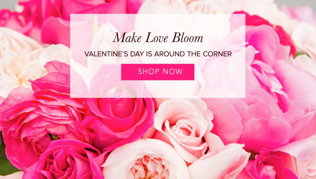 Send Some Love this Valentines!