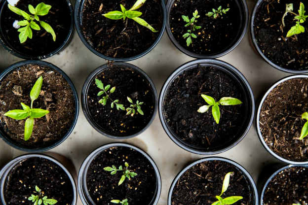 13 Small Garden Ideas to Transform Your Outdoors
