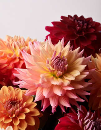 Embrace the Beauty of Autumn with Our Stunning Fall