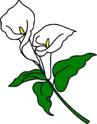 Sympathy Flower Delivery in Magnolia, TX