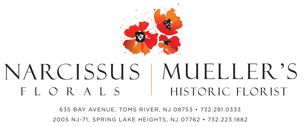 Toms River Florist Flower Delivery By Narcissus Florals