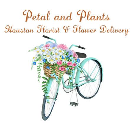 Petal and Plants - Houston Florist & Flower Delivery Logo
