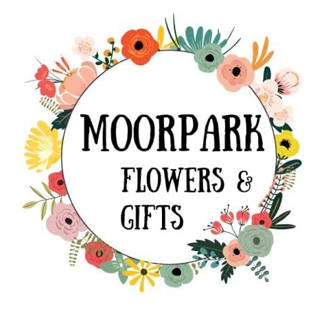 moorpark body exchange moorpark body exchange